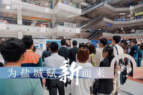 風(fēng)向標(biāo) 鹽城這個(gè)板塊熱得發(fā)燙,純新盤(pán)紛紛搶跑