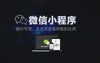 如何定制開(kāi)發(fā)個(gè)性化的微信小程序商城